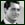 Solution - Wedding Present