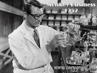 Monkey Business Desktop